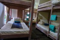 Bed in 6-Bed Mixed Dormitory Room