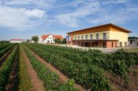 Rodinné Vinařství Skoupil - B&B