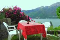 B&B Pino Lago Maggiore - casa camelie - Bed and Breakfast Pino Lago Maggiore