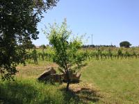 Residenza I Filari - B&B Alghero