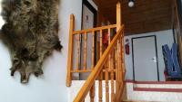 Dormitorio Misto con 6 Posti Letto