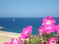 Il doppio nodo - B&B
