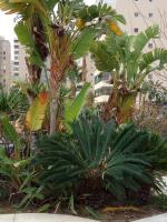 Cozy Loft Torremolinos - B&B Torremolinos