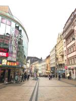 Royal apartment - Ferienwohnung Karlsbad