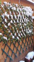 B&B Calamatta - B&B Roma