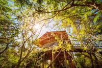 Pezulu Tree House Lodge - B&B