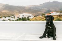 Imarkellis Boutique Villas - B&B