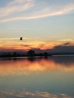 Casa vacanze Trasimeno - Ferienwohnung