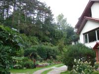 Villa Mielno-EKO - Ferienwohnung