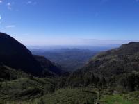 Ella Banana Rest Inn - B&B Ella Town