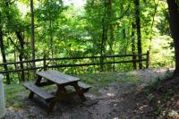 Almost Heaven #2 - B&B Pigeon Forge