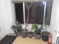 Appartement Supérieur