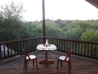 Little Bush Baby - B&B Marloth Park