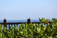 Seven Stars Sunrise,Seven Stars DEAR - B&B Dahunei