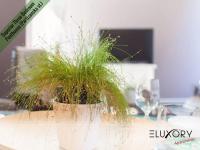 Apartamento Dúplex