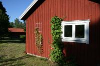 Ahornfarm Håkannäs - Bed and Breakfast