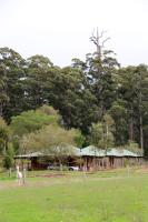 Treenbrook Cottages - B&B