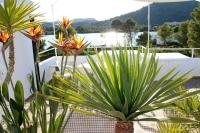 B&B Port d'Alcudia - Beach Inn - Bed and Breakfast Port d'Alcudia