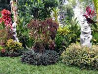 Lila Stana - Sidemen Homestay - B&B