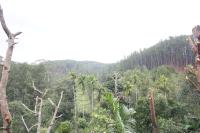 Habitación Doble Deluxe con balcón