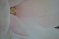 Kimberly House - B&B San Benedetto del Tronto