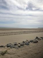 Le Grand Large de Marie et Jean - B&B Gruissan
