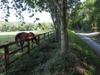 Suite mit Gartenblick