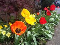 Timbers Inn - Chambres d’hôtes Eugene