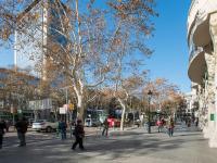 Appartamento - Su 2 Livelli - Bonavista, 7