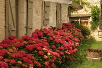 Domaine du Merlot - Bed and Breakfast Sainte-Sabine