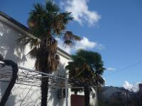 Apartmani Apolon - B&B