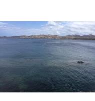 Giulianahouse - B&B La Maddalena