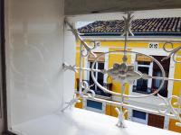 Valencian Dreams - Bed and Breakfast Valencia