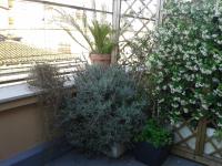 Chiara Rooms - B&B