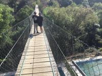 La Huerta de Don Felipe - Bed and Breakfast Irimbo
