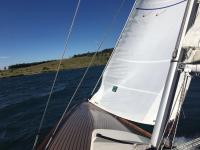 Liebevoll eingerichtete Ferienwohnung im DG - B&B Zwenkau