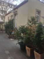 Max's Hinterhaus - B&B Dresda