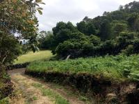 Casa do Alto - B&B Santo António