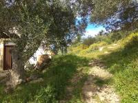 Tsikalaria Traditional Stone House - B&B Tsikalariá