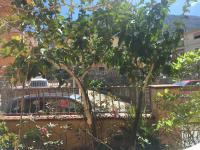 Casa Elena - B&B Dorgali