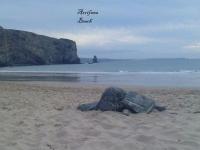 Beach&Surf Flat - B&B Aljezur