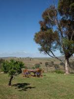 B&B Boorowa - Wantana Cottage Farmstay - Bed and Breakfast Boorowa