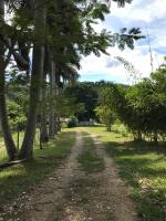 B&B Ruinas de Palenque - Cabañas Maya Rue - Bed and Breakfast Ruinas de Palenque