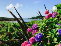 Carraig-Mor House Bed & Breakfast - B&B Toormore