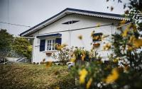 le p'ti blanc des "o" - B&B Salazie
