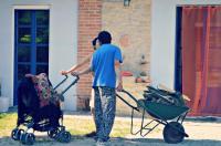 Cascina Il Convivio - Bed and Breakfast Diano d'Alba