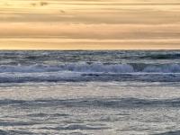 Stella le Touquet Berck T2 - Ferienwohnung Stella-Plage