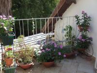 Olga Katz apartment - B&B Qaşrīn