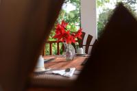 Vierbettzimmer mit Bergblick