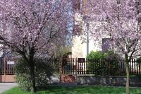 Nóra Apartman - B&B Gyula